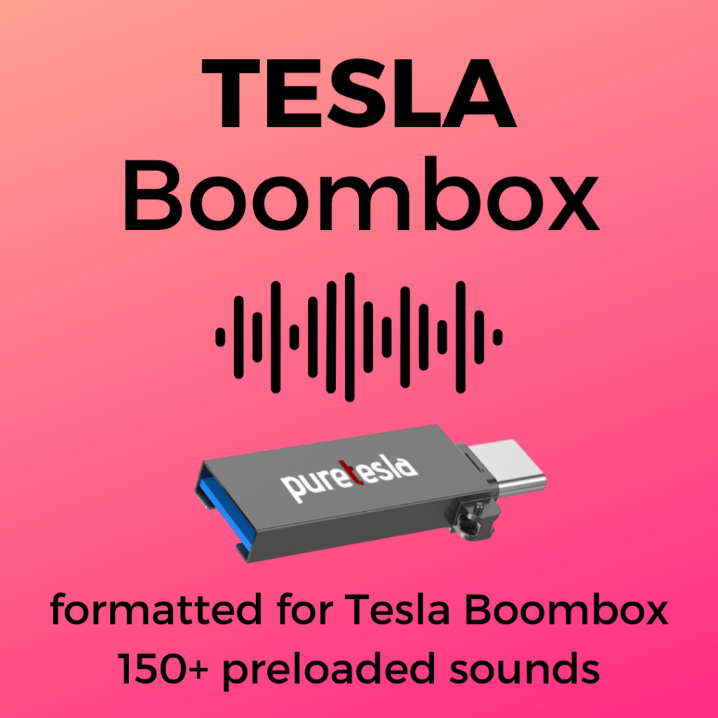 How to Setup Tesla Boombox Horn and Summon Feature Pure Tesla
