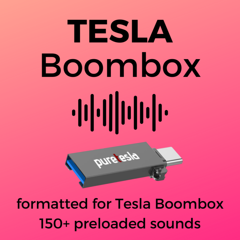 How to Setup Tesla Boombox Horn and Summon Feature Pure Tesla